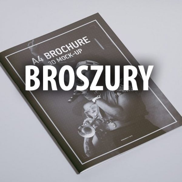 drukarnia Warszawa, druk cyfrowy i offsetowy - ikona druku broszur